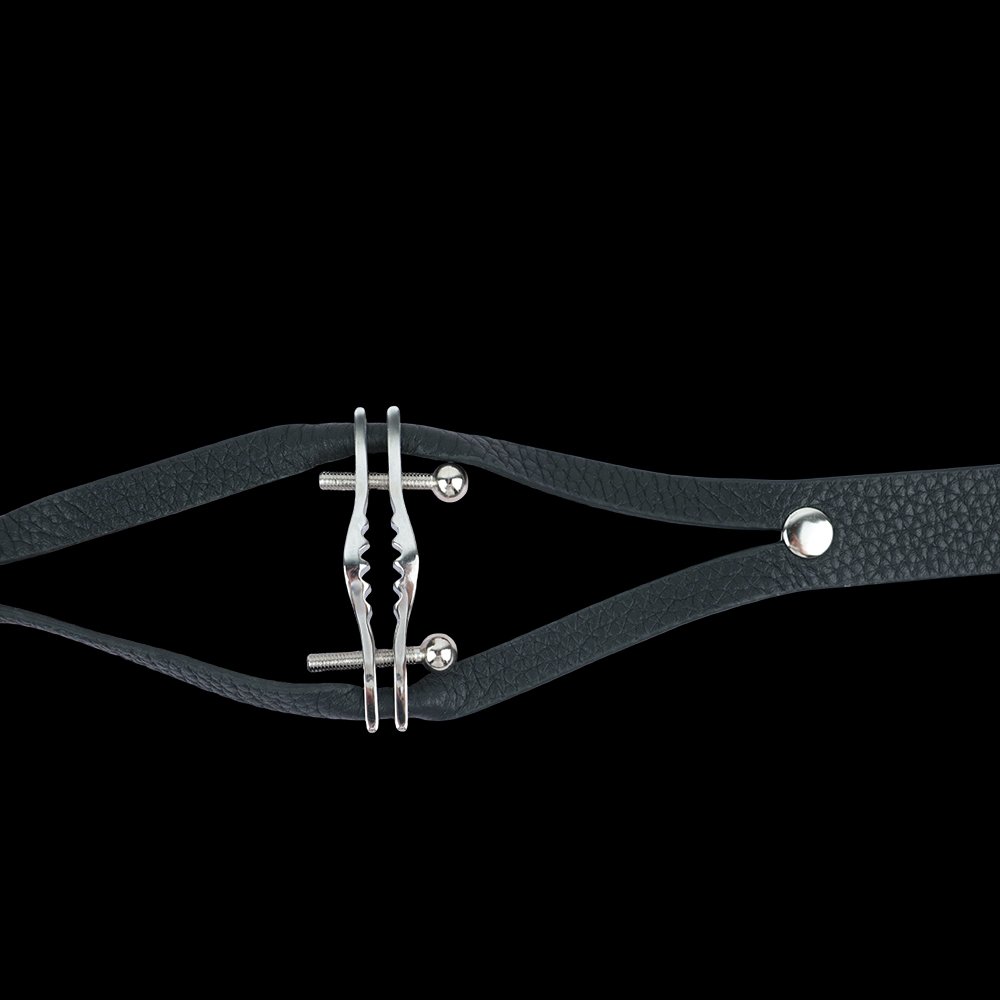Roestvrijstalen Nipple Clamps – Exclusieve BDSM Flirtspeeltjes - Afbeelding 6