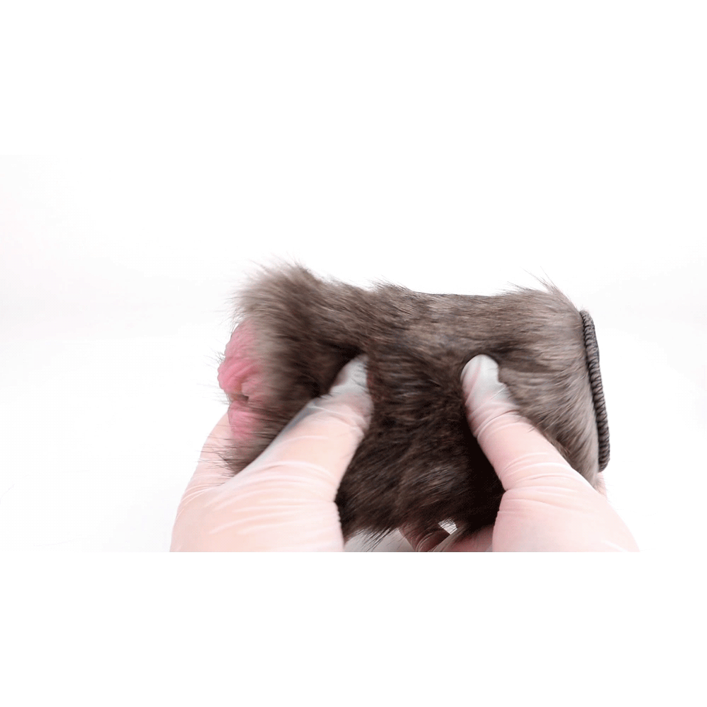 Dierlijke Fantasie Pocket Pussi Masturbator - Inbrengbare Siliconen Stimulator Met Realistische Haargeladen Ontwerpen - Afbeelding 4