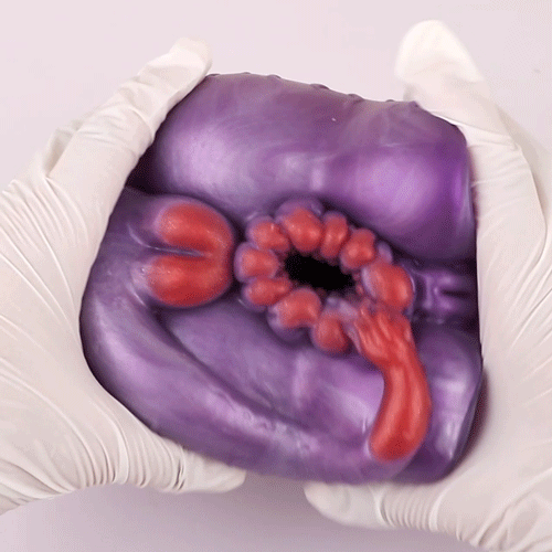 Fantasy Monster Kont Pocket Pussi - Dubbele Kanaal Siliconen Masturbeerontwerp voor Mannen - Afbeelding 3