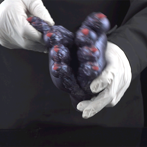 Monster Vos Pootjes Fantasie Pocket Pussy - Discrete Siliconen Masturbator met Verborgen Ingang - Afbeelding 2