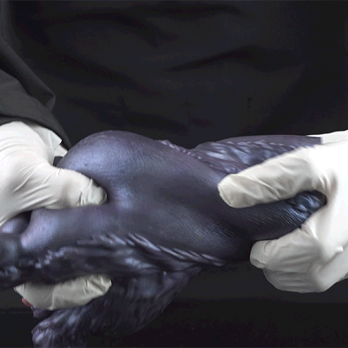 Monster Vos Pootjes Fantasie Pocket Pussy - Discrete Siliconen Masturbator met Verborgen Ingang - Afbeelding 6