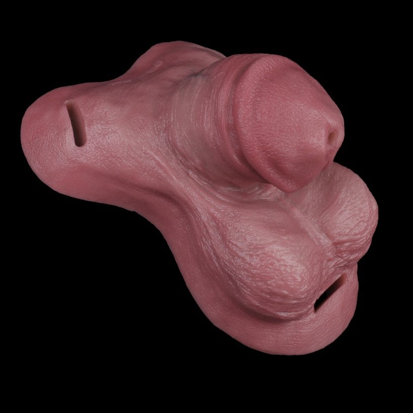Siliconen Chastity Wearable om Erectie te Beperken - Sex Toys met Katheter voor Langdurig Gebruik - Afbeelding 5