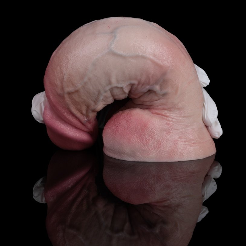 Realistische Dildo met Dubbellaags Siliconen-Handsfree 'Grote Lul' met Zuignap - Afbeelding 5
